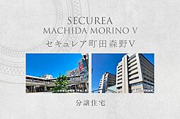 【ダイワハウス】セキュレア町田森野V　(分譲住宅)