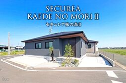 【ダイワハウス】セキュレア楓の森II(分譲住宅)