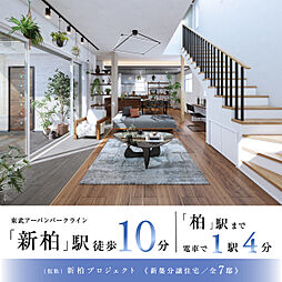 ポラスの分譲住宅 【予告広告】(仮称)新柏プロジェクト