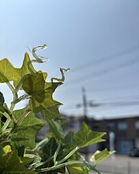 和光ホームズ 加美鞍作1丁目 分譲地