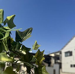 【イルミナシティ沢ノ町II】　住吉区墨江4丁目