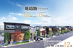 ポラスの分譲住宅 【予告広告】リーズン高柳 グロウスペース