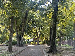 【積水ハウス】コモンステージ青葉桜台【建築条件付土地】