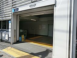 豊島区雑司が谷の宅地