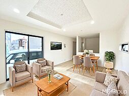 柏市十余二　新築一戸建て　全１棟