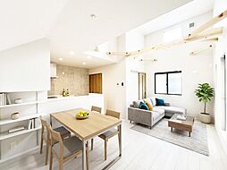 柏市中新宿1丁目 新築一戸建て 全1棟