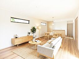 越谷市大林　新築一戸建て　全１棟