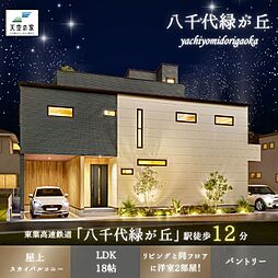 天空の家【空とつながる屋上時間を楽しむ家】八千代市大和田新田　新築戸建