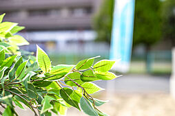 和光ホームズ 大黒町1丁目 分譲地