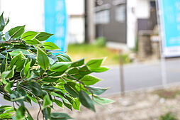 和光ホームズ 新喜多1丁目 分譲地