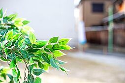 和光ホームズ 三和町1丁目 分譲地