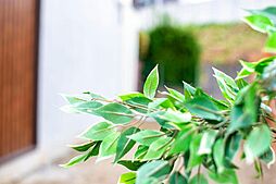 和光ホームズ 高殿3丁目 分譲地