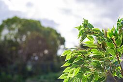 【イルミナヒルズ緑地公園】
