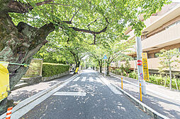 ガーデン・シティ箕面萱野駅６～新駅も利用できる快適なアクセス環境に誕生する全３区画～