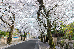 スマイルタウン阪急箕面駅III～最寄り駅徒歩９分、周辺施設も徒歩圏内に充実した魅力の地～