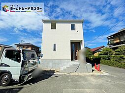 西改田松の木
