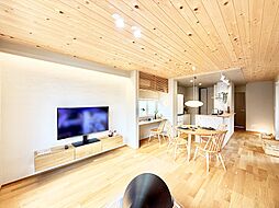 町田市金井1丁目 新築戸建 全1棟