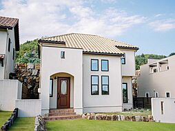 ハナミズキ14号地