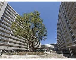 シティコート目黒3号棟