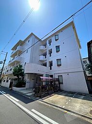 エバーグリーン