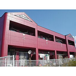 キリマンジャロ大坂 202