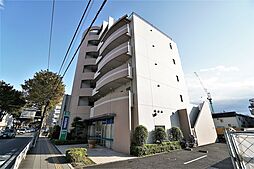 ルピナス 205