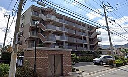 ステラエクレール