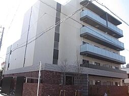 ESPERANZA TACHIKAWA 204