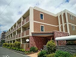 メゾン　ド　リーノ