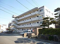 メロディハイム 203