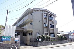イリス花がすみ 201