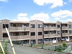 パインヒルズ壱番館 101