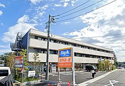 AYUTAKA(アユタカ） 317