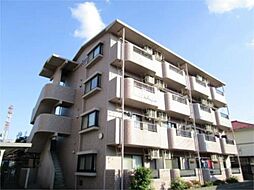 セーズアンジュ 101