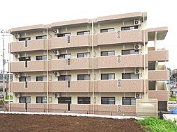 ユーミー金色 201