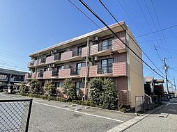 オードピュール 203