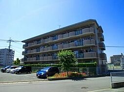 ローヤル南福岡 203