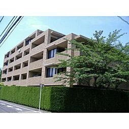 ミレニアムコート青葉台 203