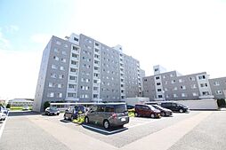 ドラゴンマンション新潟新和壱番館 102