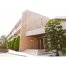 ＩＳＩＳ　24 204