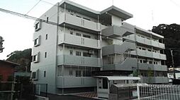 Ｓｕｎ　ｌｉｇｈｔ 206