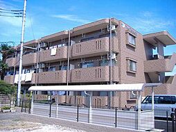 Ｙ．Ｍ．Ｔｅｒａｕｃｈｉ 302