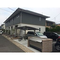 アムールTMM