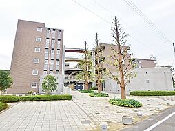 ティーズガーデン稲城 415