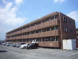 ジェネシス大島Ａ棟 203