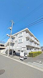 シャルマン・ヴィ