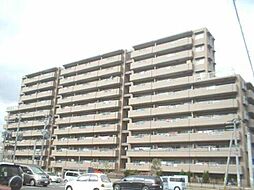 コアマンション周船寺ネクステージ 113