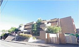 東急ドエル・アルス王禅寺 301