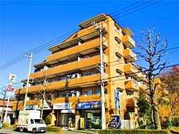 シャトルブラウンA 307