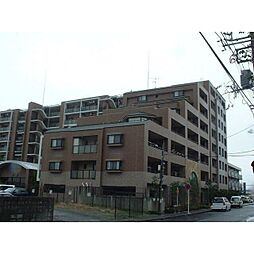 セザールグラン海老名 501
